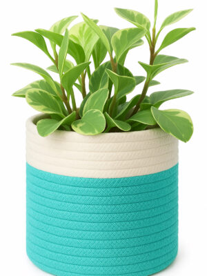 Dekoratif Jüt Saplı Hasır Sepet Saksı 20cm X 20 Cm, Jüt Bej Saksılık, Dekoratif Saksı Ve Havluluk