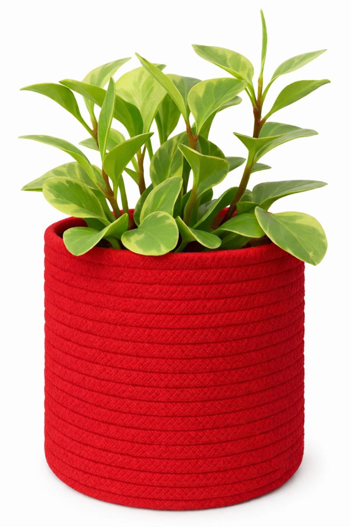 Dekoratif Jüt Saplı Hasır Sepet Saksı 20cm X 20 Cm, Jüt Bej Saksılık, Dekoratif Saksı Ve Havluluk