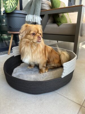 Pawly 55×55 cm Peluş İç Yüzeyli Evcil Hayvan Yatağı – Kaymaz Tabanlı Kedi & Küçük Irk Köpek Yatağı Medium – görsel 14